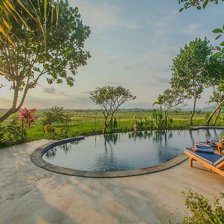 Villa D'Carik Bali Denpasar Zewnętrze zdjęcie