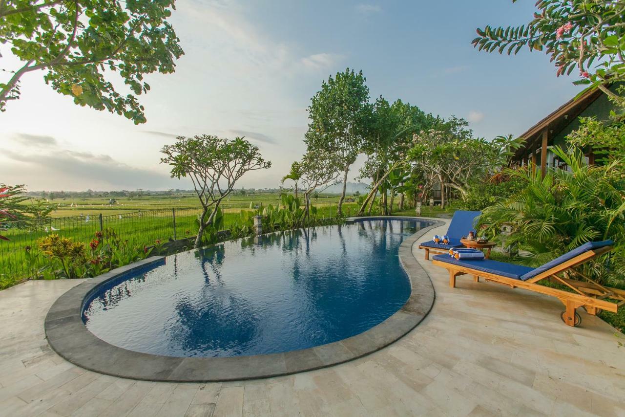 Villa D'Carik Bali Denpasar Zewnętrze zdjęcie