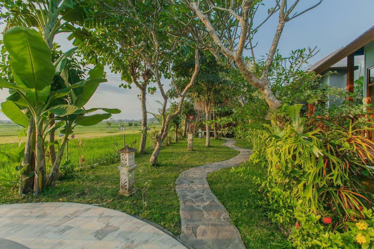 Villa D'Carik Bali Denpasar Zewnętrze zdjęcie