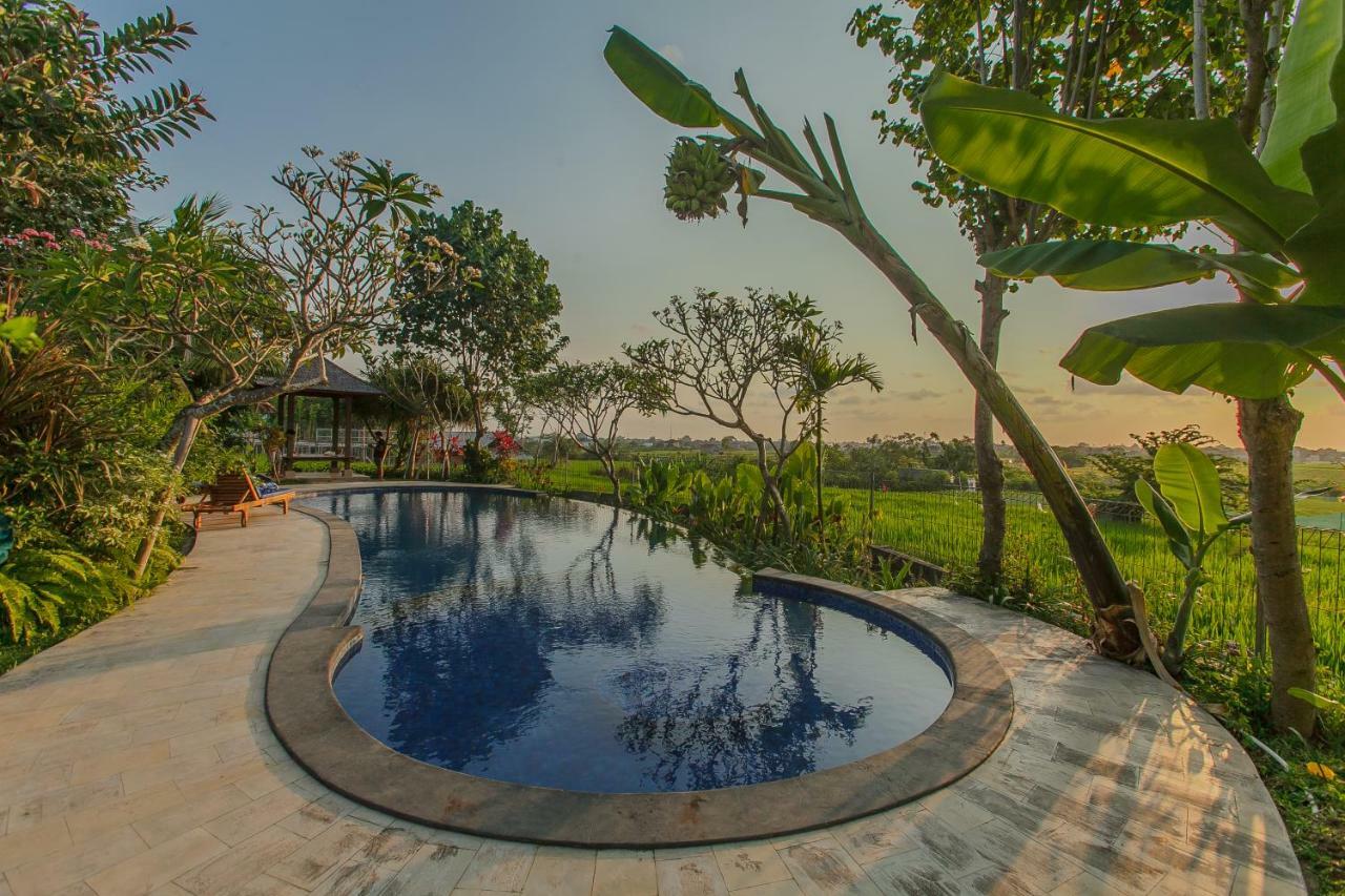 Villa D'Carik Bali Denpasar Zewnętrze zdjęcie