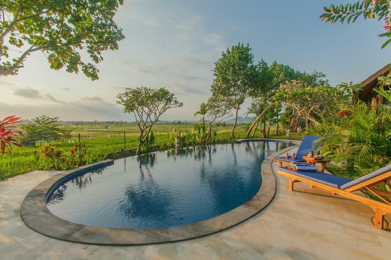Villa D'Carik Bali Denpasar Zewnętrze zdjęcie